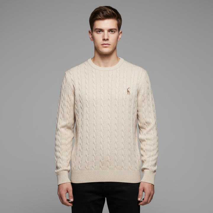 Pull Homme Col Rond Torsadé Coton Mélangé