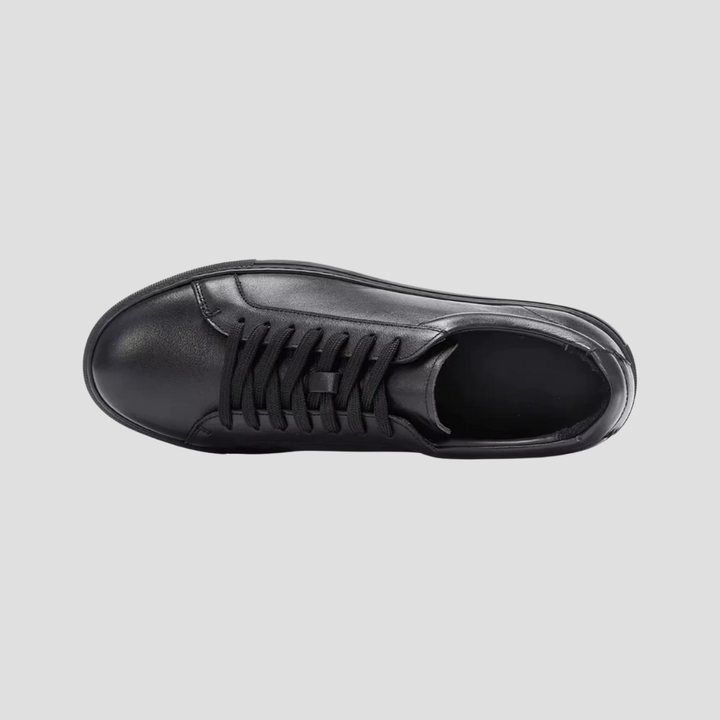 Baskets Homme Cuir à Lacets