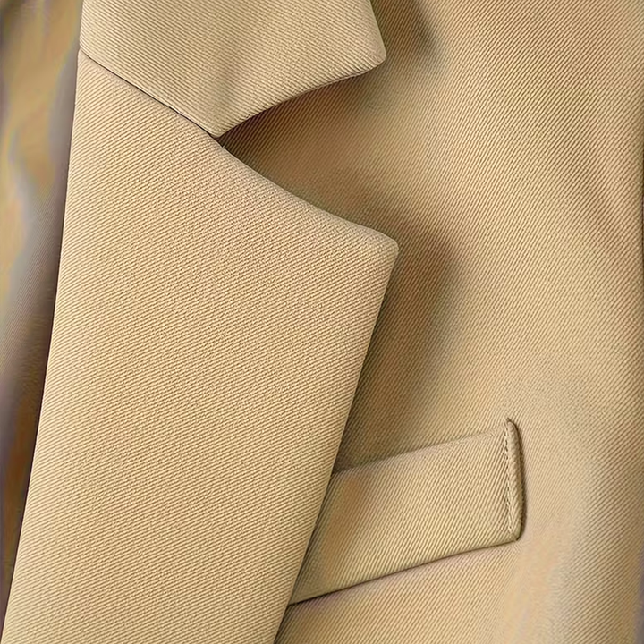 Blazer Femme Cintré | Col à Revers