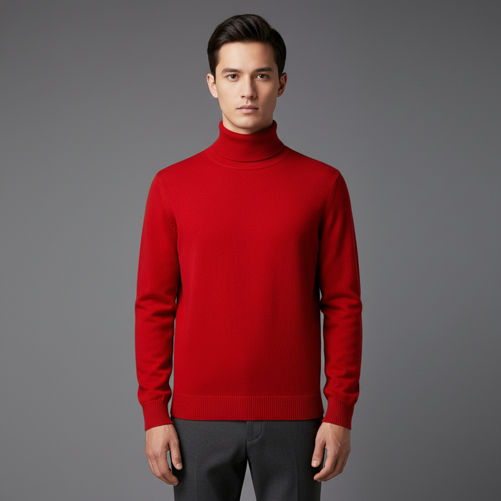 Pull Homme Col Roulé en Laine